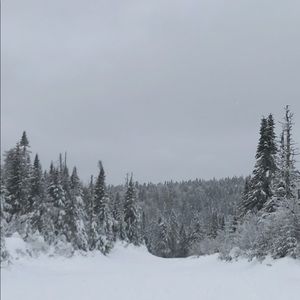 Meet your Posher, Bradley